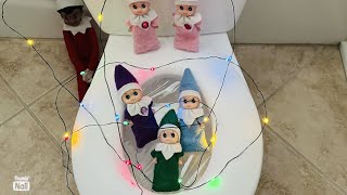 BABY ELVES TRAPPED INSIDE POTTY?