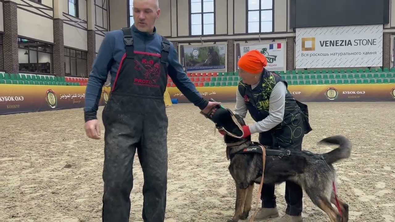 Элиза фом Грюнен Штадт 9 м  Азы защитного раздела