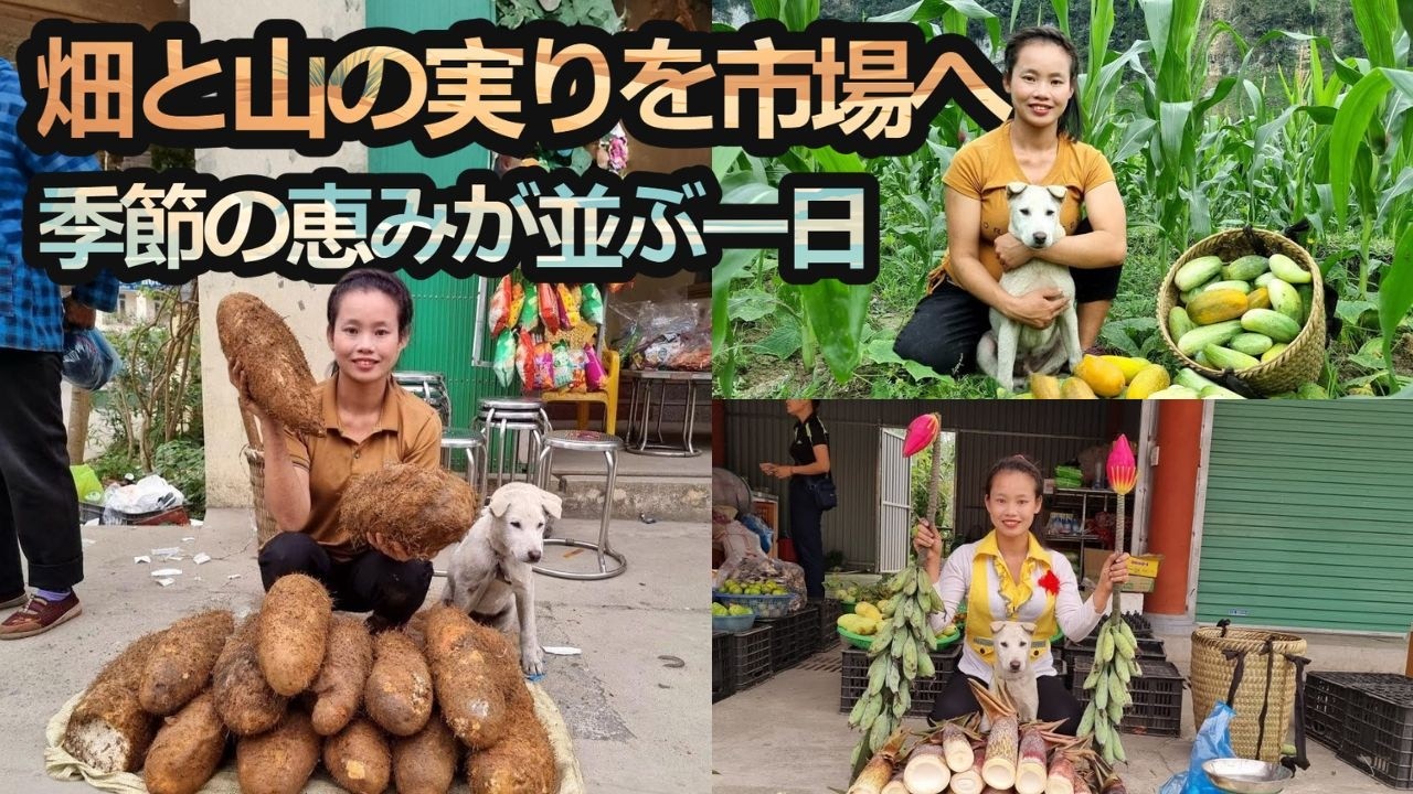 畑と山の実りを市場へ｜タケノコとメロンの田舎暮らし【総集編㉔】