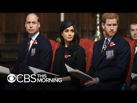 Video: Inetu žest? Meghan Ja Harry Kritiseerisid COVID-19 Kriisi Ajal Oma Aluse Nime Avalikustamist