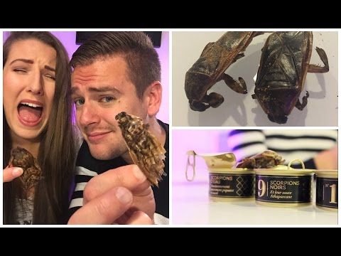 dégustation-d'insectes-en-live-avec-jeremstar