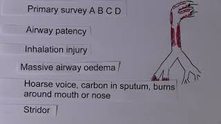 Burns 9, Systemic effects - Airway and Breathing