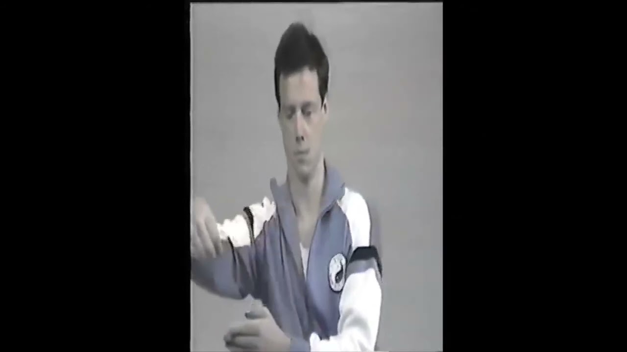 Wudan Tai Chi Chuan Long Form Dan Docherty