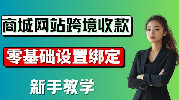 新手建站必看！如何设置WordPress+WooCommerce商城收款方式，绑定Stripe与PayPal实现跨境全球收款