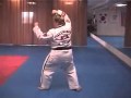 Sheldon Family Taekwondo ATA Purple Belt Form
