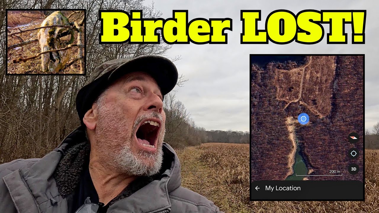 I Got Lost Birding in the Woods!  Cursed Skull & Bottle Tree Mystery.  Don't Let This Happen To You!
