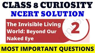 Class 8 Curiosity | The Invisible Living World: Beyond Our Naked Eye Solution
