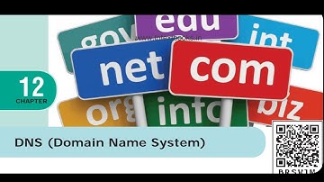 Class 12 Computer Applications  Chapter 12 Domain Name System (Part 6)