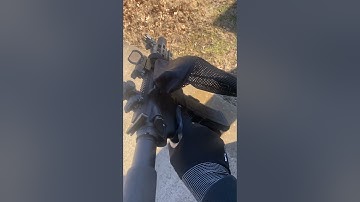 ARP With Shell Catcher #arp #youtubeshorts #subscribe