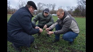 ТОВ «Кривийрігхарчоторг» – 80% ЗЗР, що ми використовуємо, – продукція  Bayer Crop Science