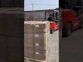 Factory Shipment Ready | Pallet Packing and Container Loading #Shorts
