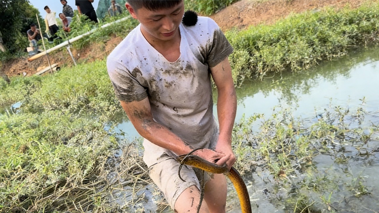 今天這可是免費的啊，估計至少能抓兩桶，漂亮！#大熱門