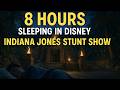 Fall asleep  in Disney!  8 Hours of Indiana Jones Stunt Show Ambiance | Sleep in Hollywood Studios