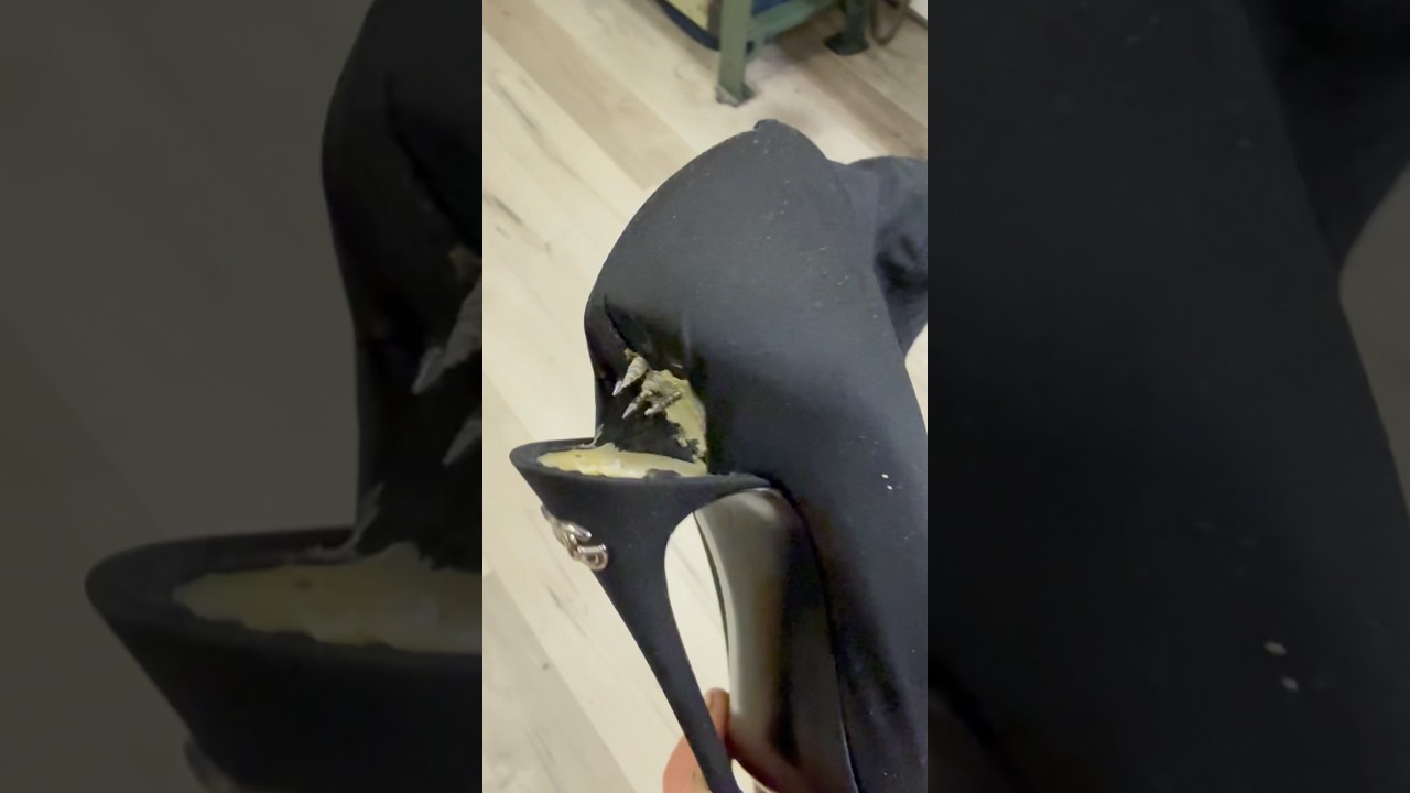 BROKEN HEEL👉DOLCE&GABBANA