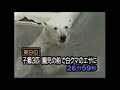 平成国内衝撃映像集１