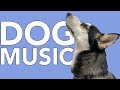 Dog relaxation sounds the ultimate calming music for dogs