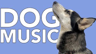 Dog Relaxation Sounds: The ULTIMATE Calming Music for Dogs! - relaxing music for dogs to fall asleep