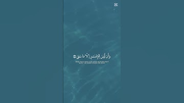 القرآن الكريم قراءة رائعة تريح النفس