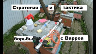 Стратегия и тактика обработок от клеща Варроа.