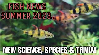 60+ NEWLY DISCOVERED FISH SPECIES! Freshwater Fish Coming to the Aquarium Hobby 2023 - LIVE! + Q&A'S