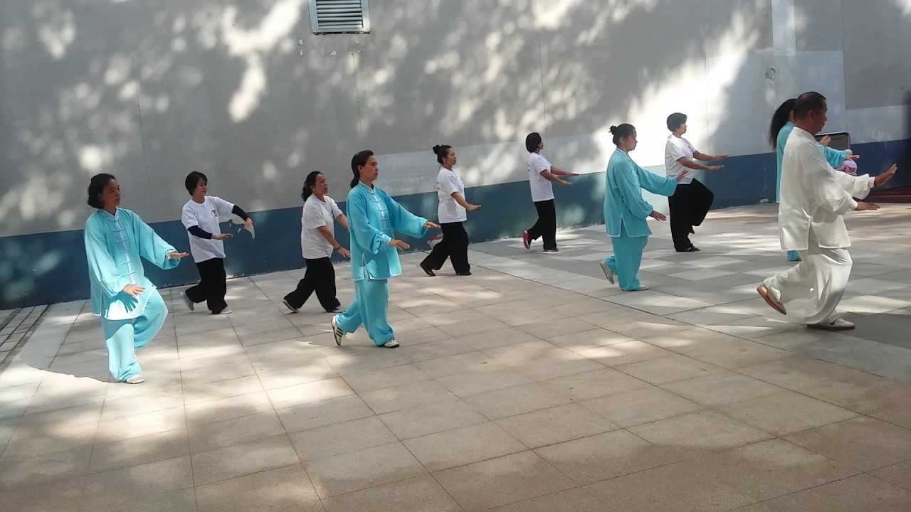 28-forms-chen-style-taichi-by-ofta-youtube