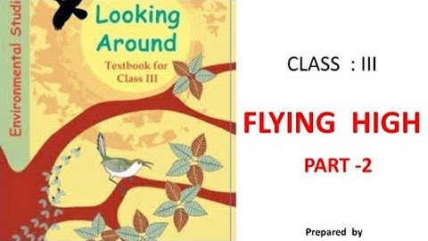 FLYING  HIGH PART -2 NCERT CLASS 3 EVS by Sangeeta Basu