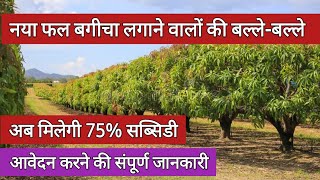 फलों का बगीचा लगाने पर मिलती हैं 75% सब्सिडी || Bagicha lagane par 75% subsidy || Govt Agriculture|| screenshot 2