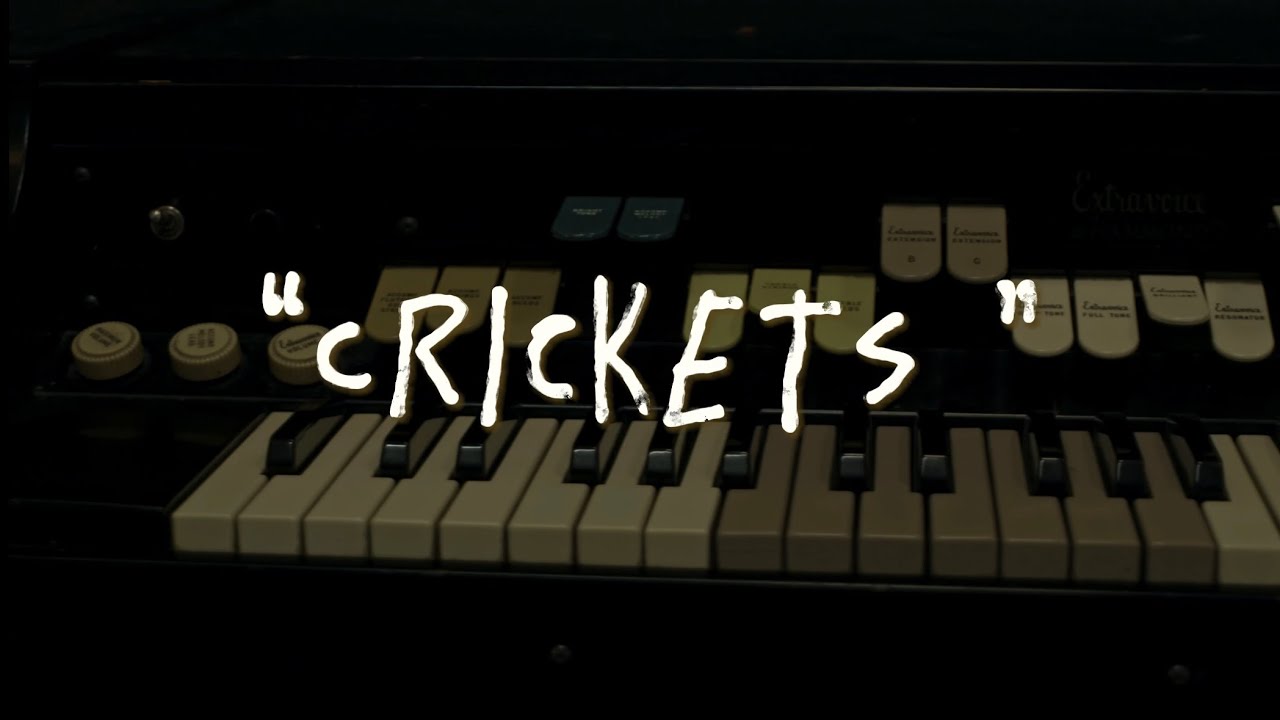 Kenny Gemini - Crickets