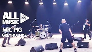 GREYHOUNDZ - Mr. PIG (MYX Live! Performance) chords