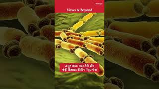 Amul Taaza Mother Dairy U0026 Country Delight Milk Fail Lab Tests Unsafe Bacteria In Milk Pouches