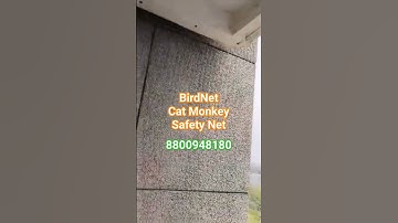 bird cat monkey safety net installation Delhi NCR gurgaon noida call 8800948180#birdnet