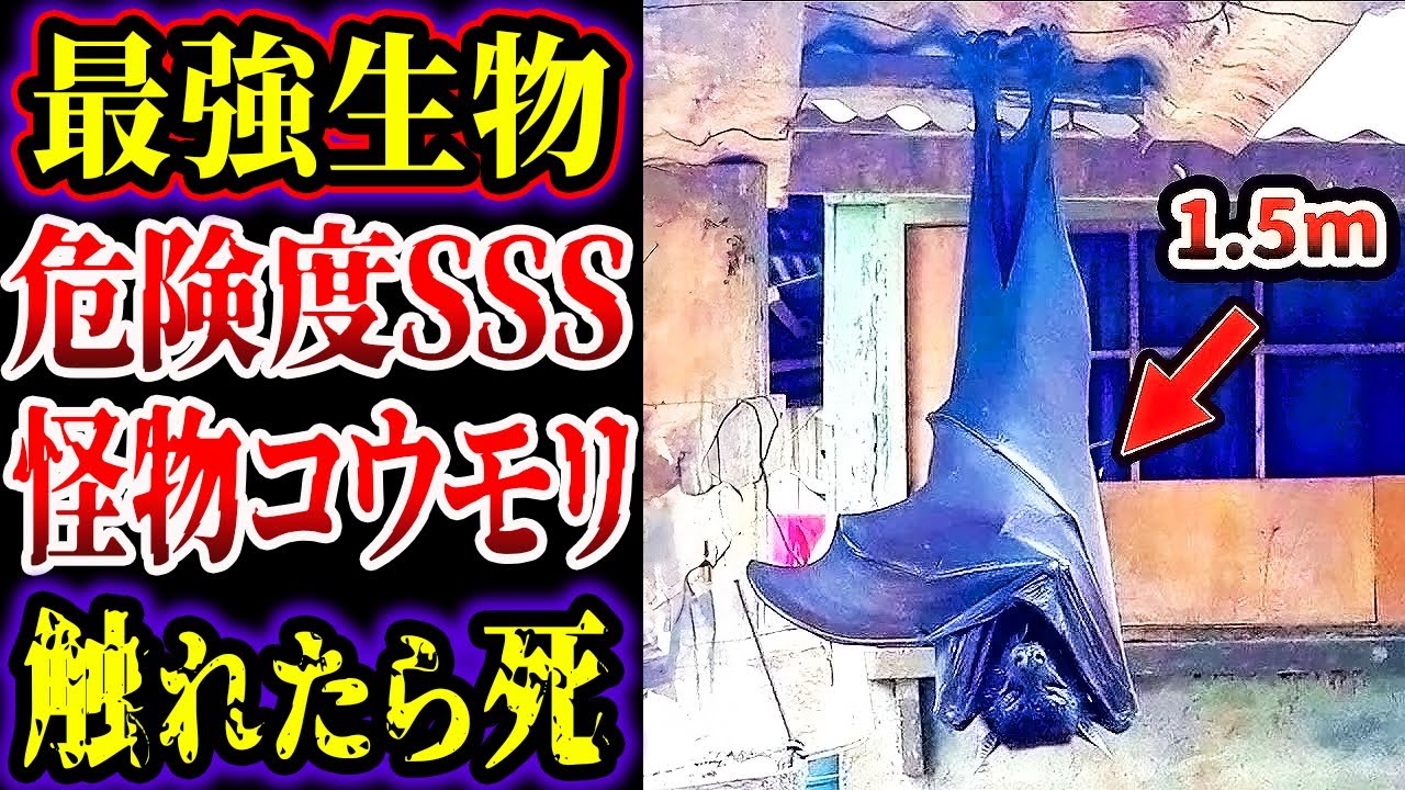 謎の物体生物 YouTube