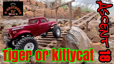 Redcat ascent 18 dope course review trx4m scx24 fcx18