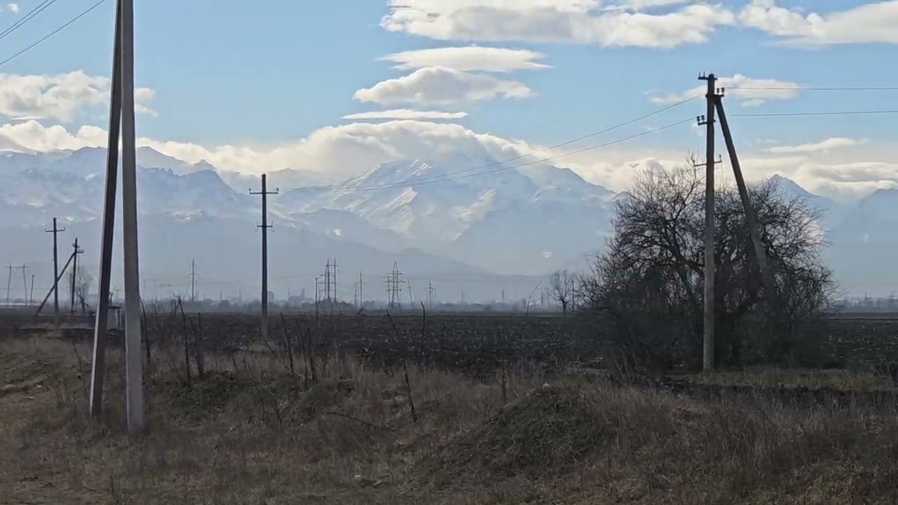 23 февраля 2026 г.