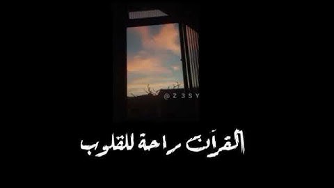 حالات واتس اب قران كريم (واشرقت الارض بنور ربها) جميل جداا♥️