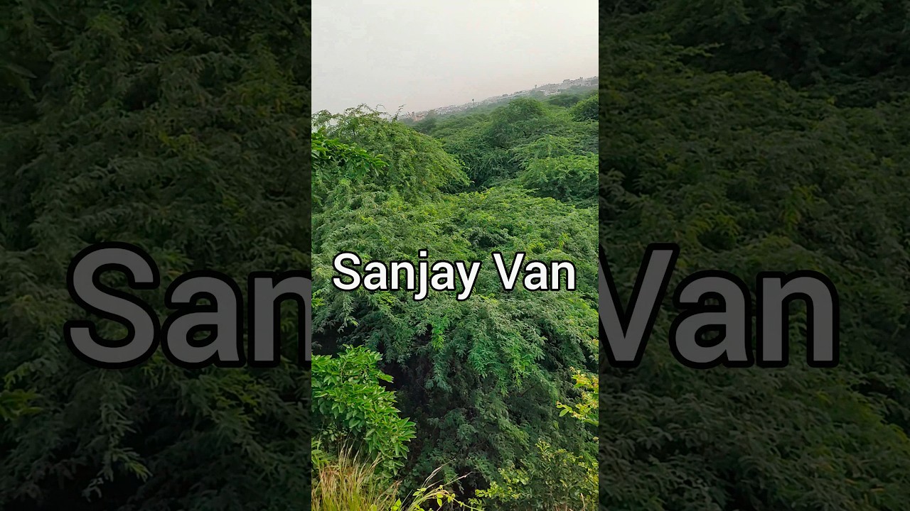 Exploring Sanjay Van - Most haunted Forest Of Delhi 😰#10 