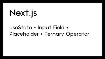 useState Input Field With Placeholder and Ternary Operator (Nextjs)