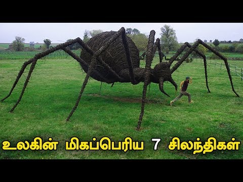 உலகின் மிகப்பெரிய 7 சிலந்திகள் | The Biggest Spiders in the World | Tamil Bells