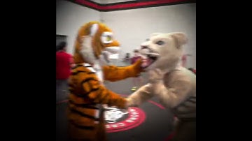 Choose Your Fighter - DPS Battle of the Mascots 