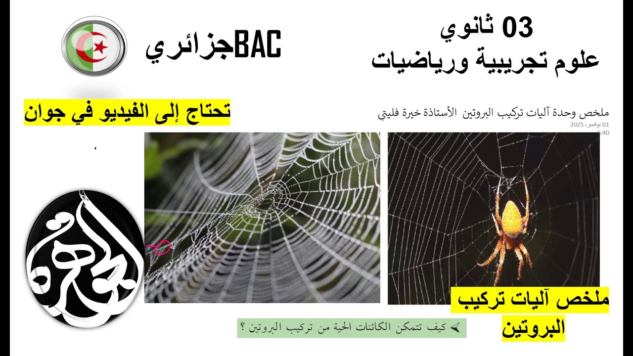 ملخصات وحدات السنة الثالثة علوم تجريبية ورياضيات