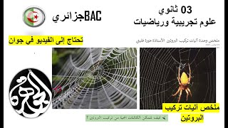 ملخص وحدة آليات تركيب البروتين
