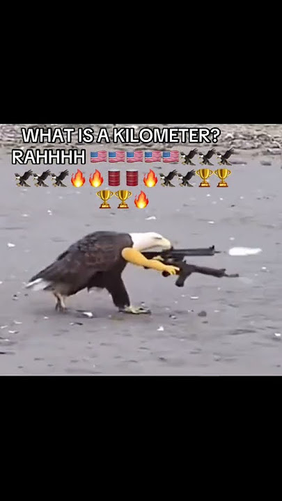 #usa #usarmy #america #eagle #meme#memes #jokes #funny #funnypets