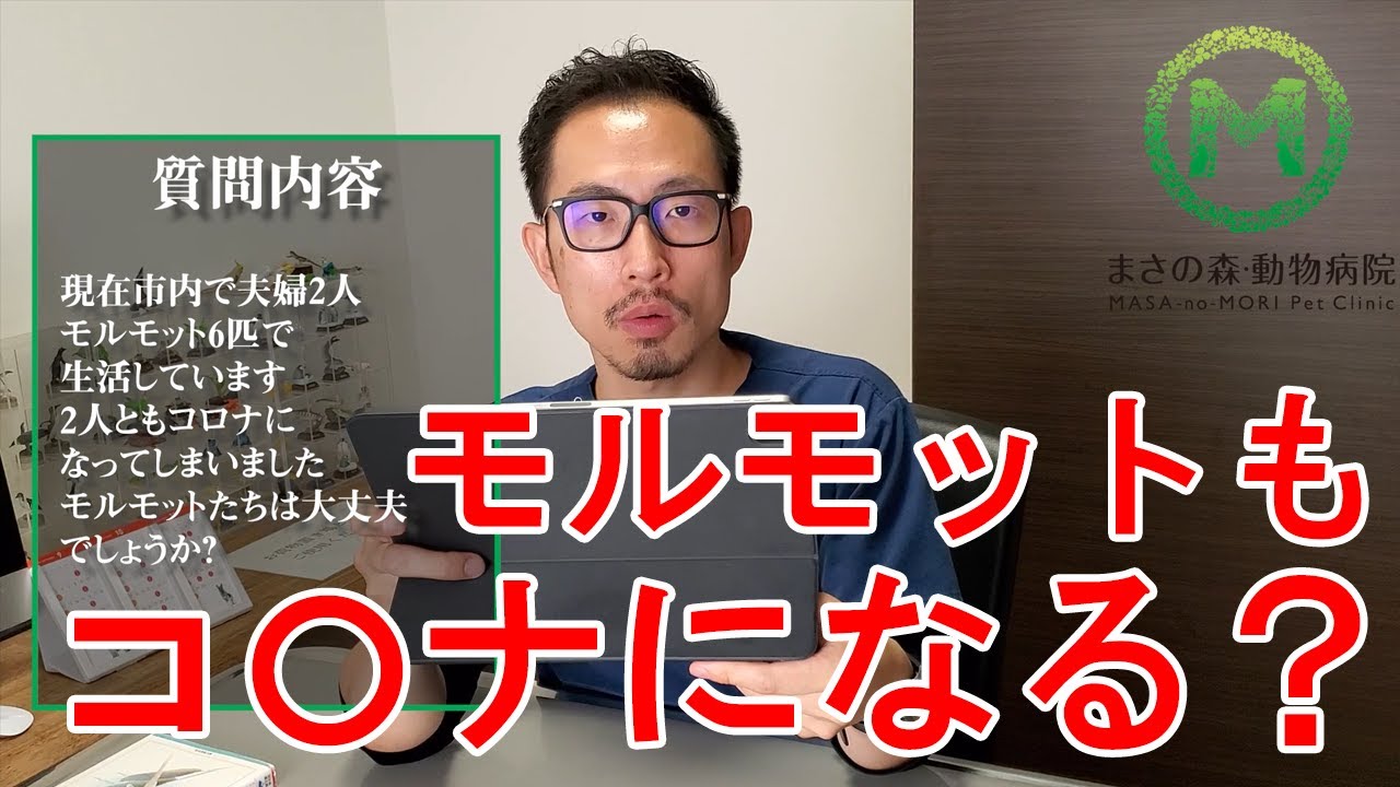 【質問コーナー】獣医師がペットの質問にまた答えます！③