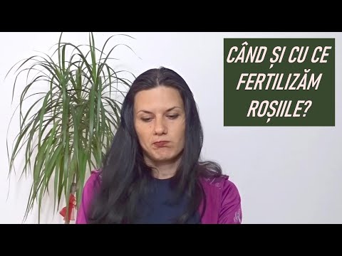 Când și cu ce fertilizăm roșiile. Graficul de hrănire