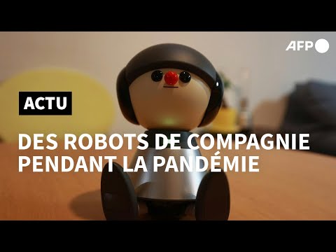 Japon: des robots compagnons offrent du réconfort pendant la pandémie | AFP