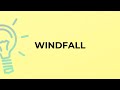 What is the meaning of the word WINDFALL?