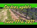 Garden update June 17th 2021