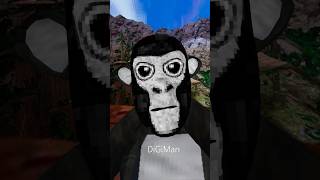 DigiMan