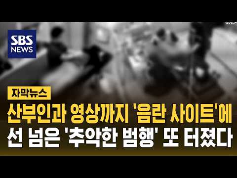 산부인과 영상까지 '음란 사이트'에..선 넘은 '추악한 범행' 또 터졌다 (자막뉴스) / SBS