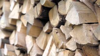 How to identify good firewood